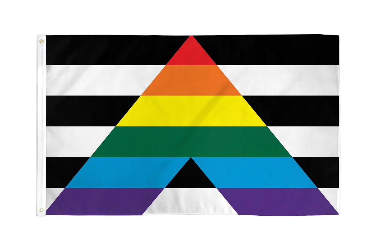 Gay / Straight Alliance Pride Flag / Wall Hanging - 150cm x 90cm - LGBTQ Pride
