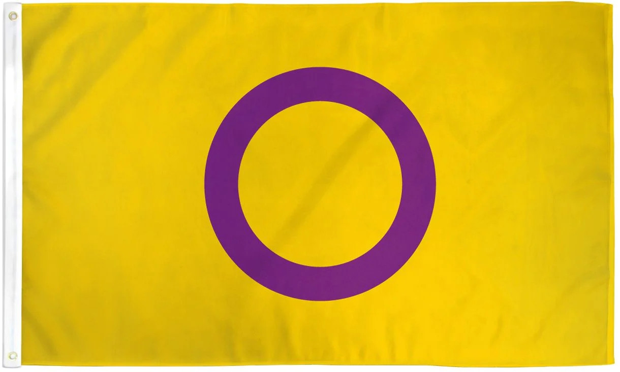 Intersex Pride Flag / Wall Hanging - 150cm x 90cm - LGBTQ Pride