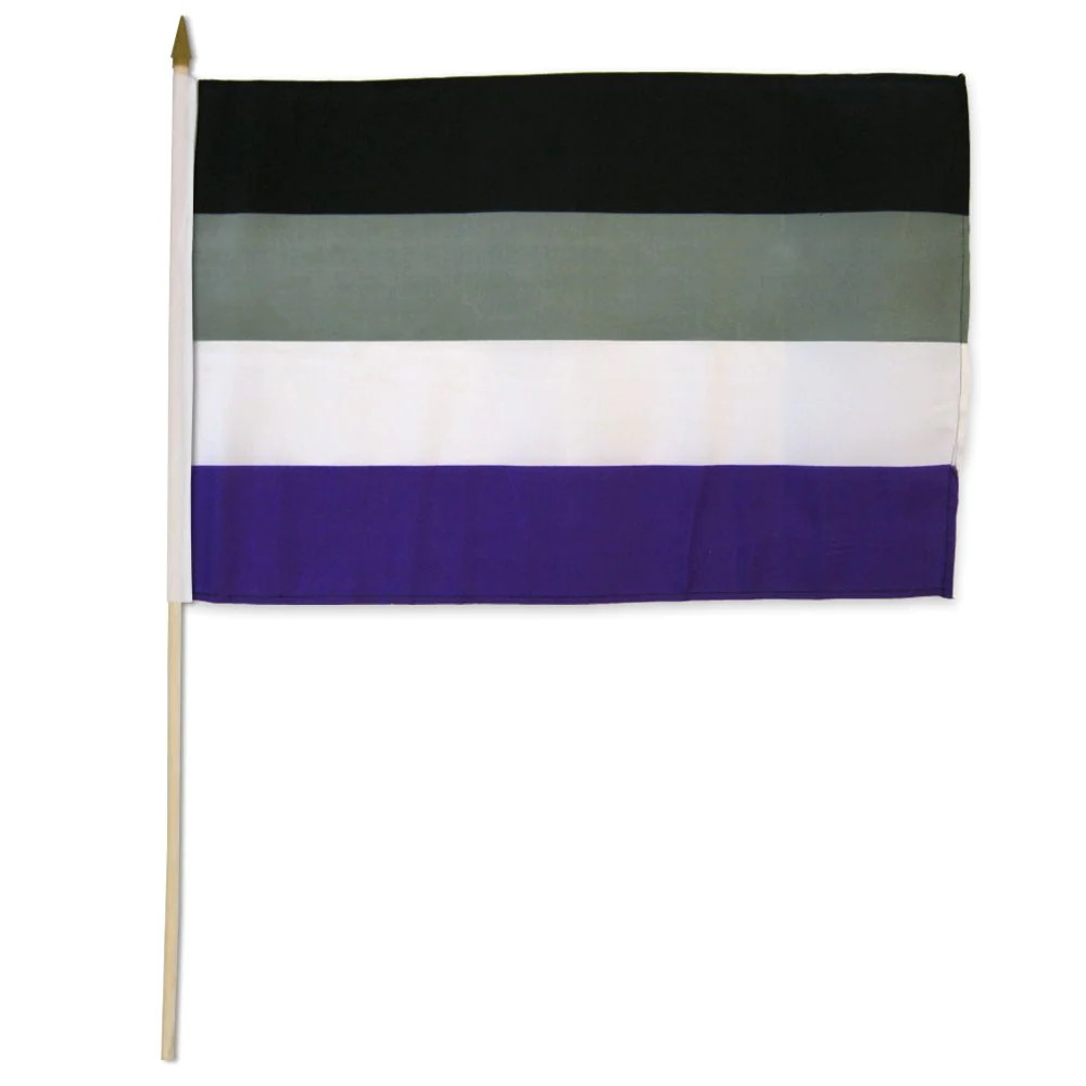Asexual Flag On Stick - 30cm x 45cm - LGBTQ Pride