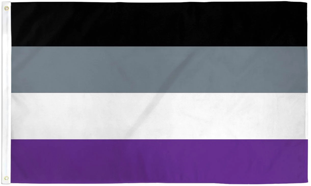 Asexual Pride Flag / Wall Hanging - Gay Pride - 150cm x 90cm - LGBTQ Pride