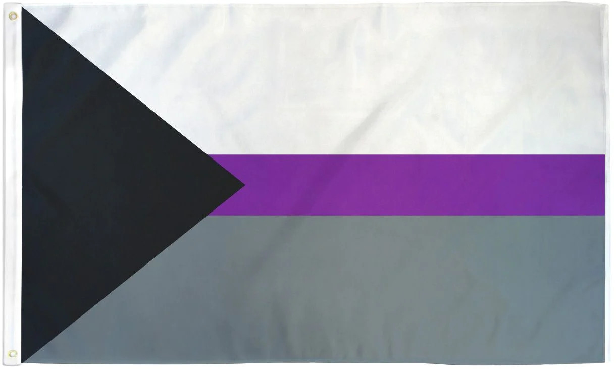 Demisexual Pride Flag / Wall Hanging - 150cm x 90cm