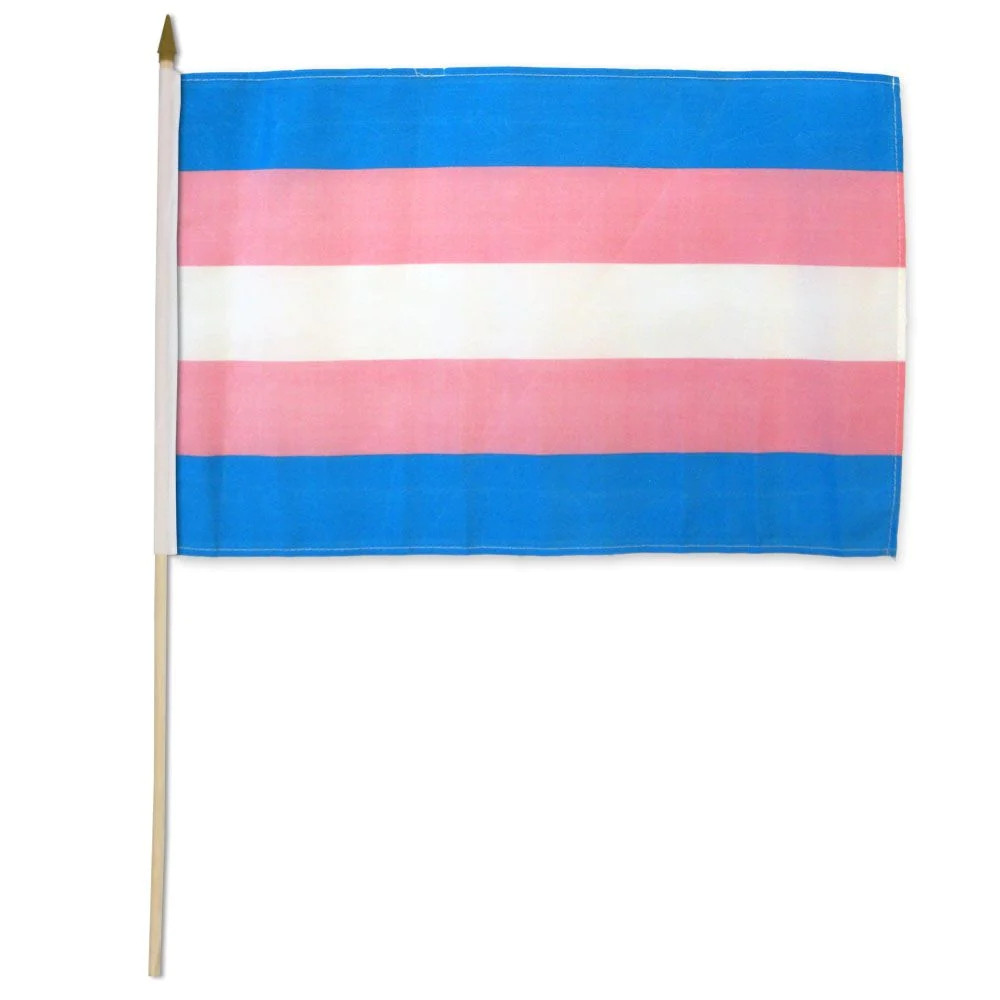 Transgender Flag On Stick - 30cm x 45cm - LGBTQ Pride