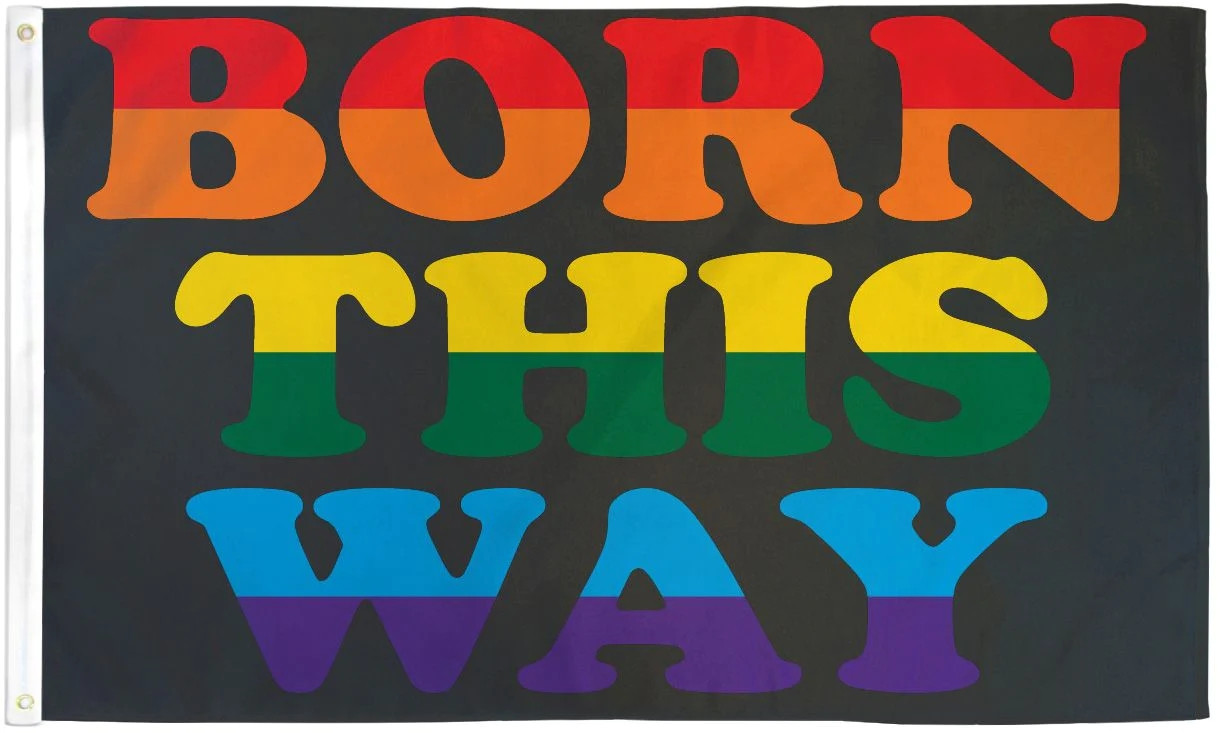 Born This Way Gay Pride Flag / Wall Hanging - 150cm x 90cm