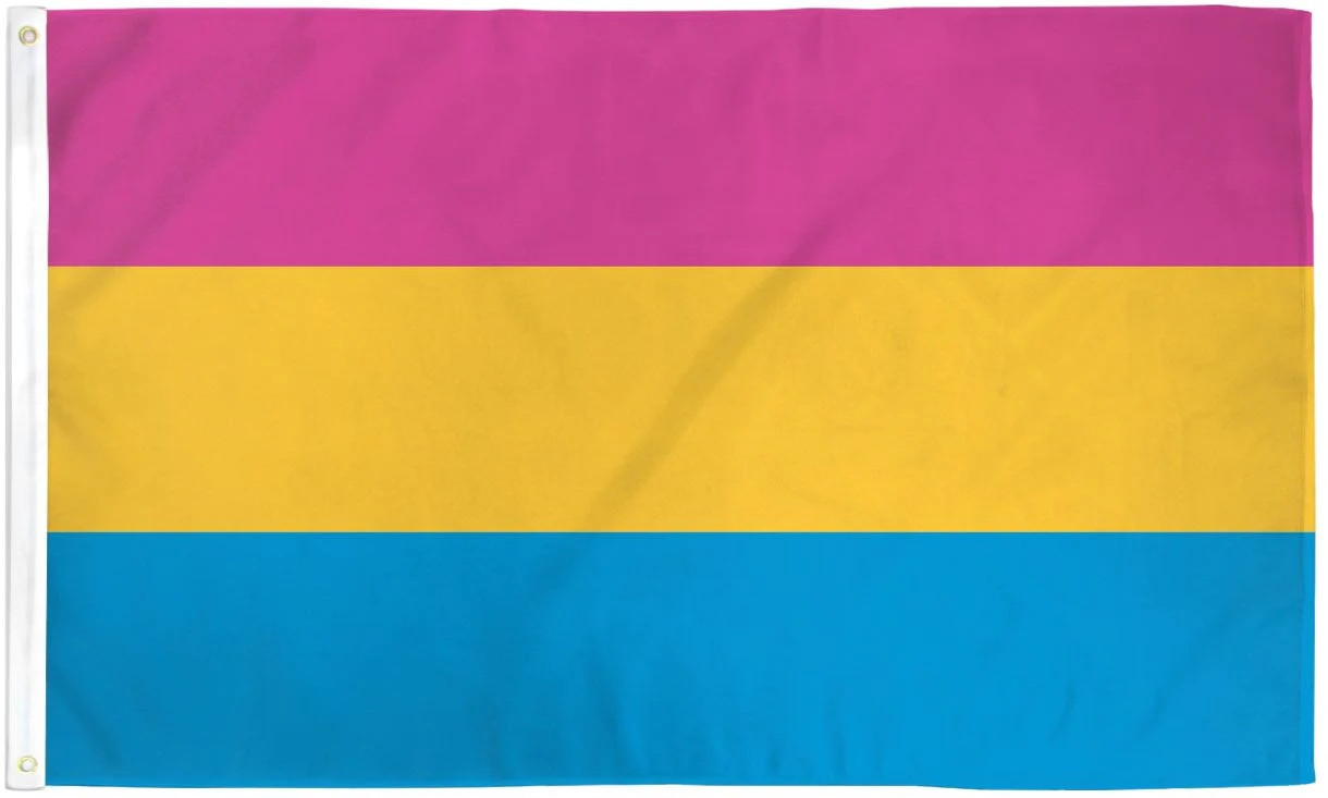 Pansexual Pride Flag / Wall Hanging - 150cm x 90cm - LGBTQ Pride