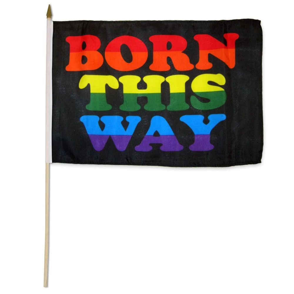 Born This Way Flag On Stick - 30cm x 45cm - LGBTQ Pride