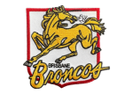 Brisbane Broncos NRL Embroidered Patch