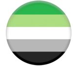 Aromantic Queer Pin Badge / Button
