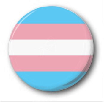 Transgender Trans Pin Badge / Button  - LGBTQ Pride