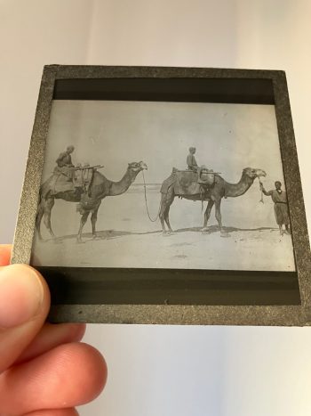 Antique Magic Lantern Glass Slide, Men on Camels