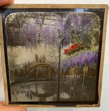 Antique Magic Lantern Glass Slide - Cherry Blossoms and River Scene 