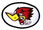 Woody Woodpecker Racing Embroidered Patch
