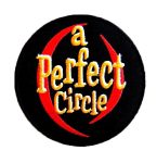 A Perfect Circle Embroidered Patch