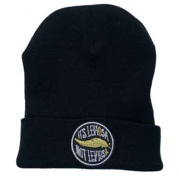 Its LevioSA Harry Potter Beanie with Embroidered Logo